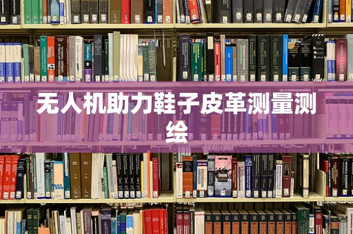 无人机助力鞋子皮革测量测绘