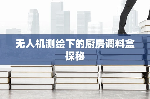 无人机测绘下的厨房调料盒探秘