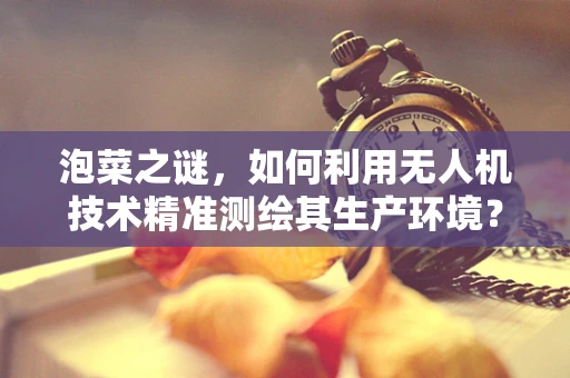 泡菜之谜，如何利用无人机技术精准测绘其生产环境？