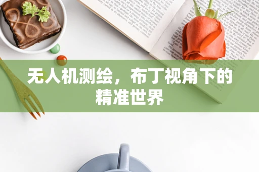 无人机测绘，布丁视角下的精准世界