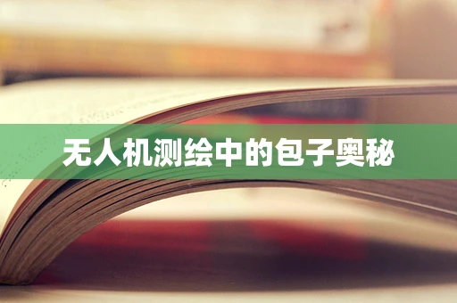 无人机测绘中的包子奥秘