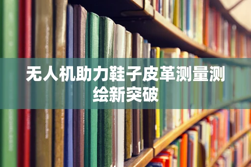 无人机助力鞋子皮革测量测绘新突破