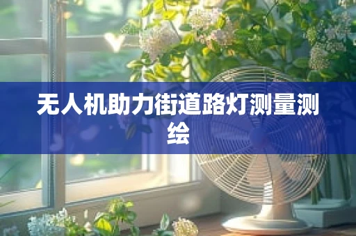 无人机助力街道路灯测量测绘