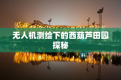 无人机测绘下的西葫芦田园探秘