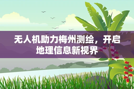无人机助力梅州测绘，开启地理信息新视界