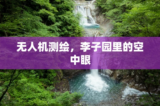 无人机测绘，李子园里的空中眼