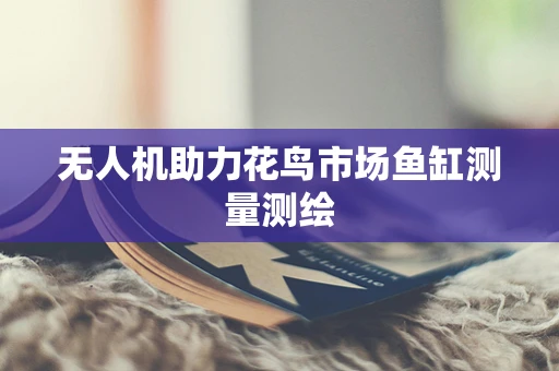 无人机助力花鸟市场鱼缸测量测绘