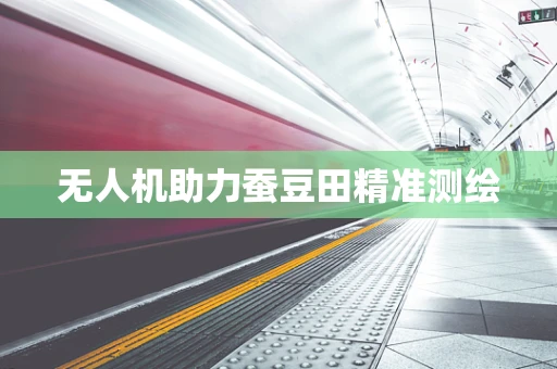 无人机助力蚕豆田精准测绘