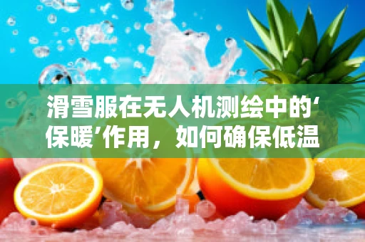 滑雪服在无人机测绘中的‘保暖’作用，如何确保低温环境下的设备稳定运行？