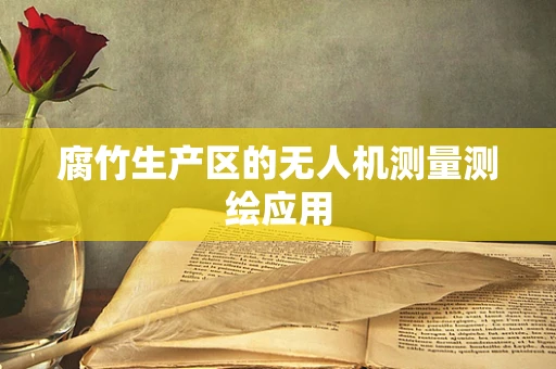 腐竹生产区的无人机测量测绘应用
