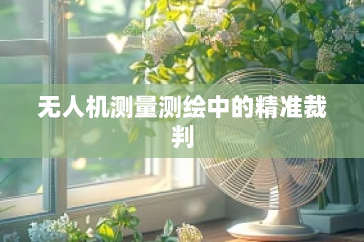 无人机测量测绘中的精准裁判
