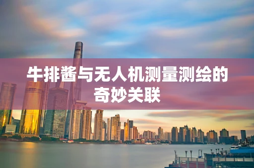 牛排酱与无人机测量测绘的奇妙关联