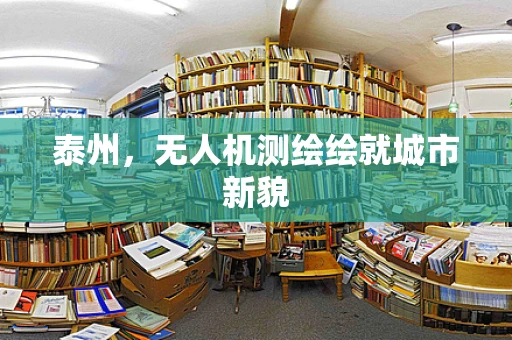 泰州，无人机测绘绘就城市新貌