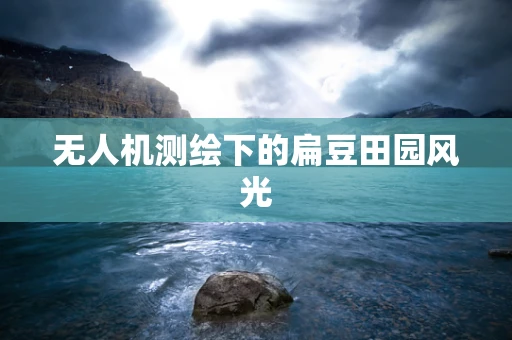 无人机测绘下的扁豆田园风光