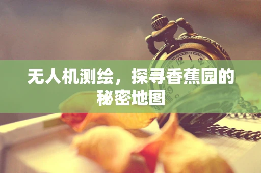无人机测绘，探寻香蕉园的秘密地图