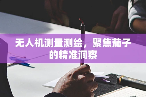 无人机测量测绘，聚焦茄子的精准洞察
