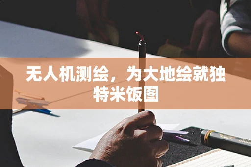 无人机测绘，为大地绘就独特米饭图