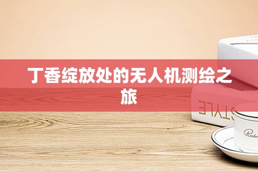丁香绽放处的无人机测绘之旅