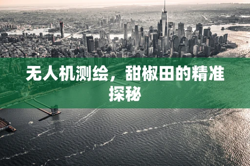 无人机测绘，甜椒田的精准探秘
