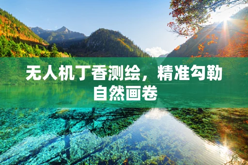 无人机丁香测绘，精准勾勒自然画卷