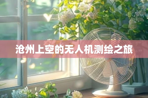 沧州上空的无人机测绘之旅