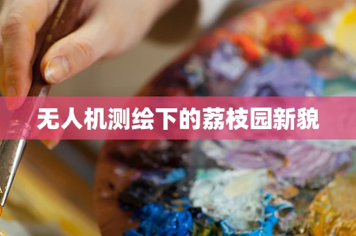 无人机测绘下的荔枝园新貌