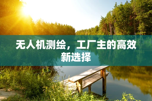 无人机测绘，工厂主的高效新选择