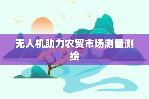 无人机助力农贸市场测量测绘