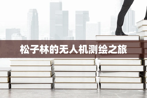 松子林的无人机测绘之旅