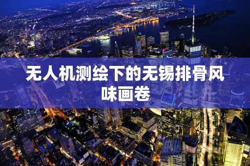无人机测绘下的无锡排骨风味画卷