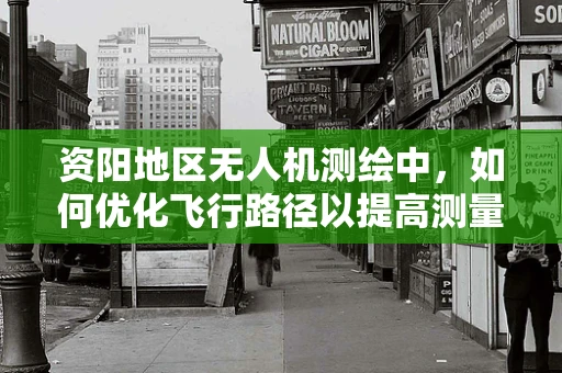 资阳地区无人机测绘中，如何优化飞行路径以提高测量精度？
