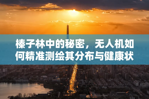榛子林中的秘密，无人机如何精准测绘其分布与健康状态？
