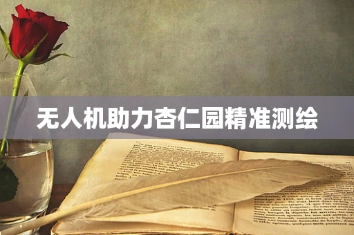 无人机助力杏仁园精准测绘