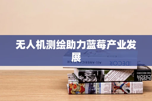 无人机测绘助力蓝莓产业发展
