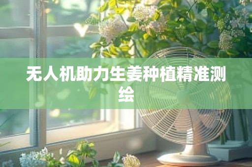 无人机助力生姜种植精准测绘