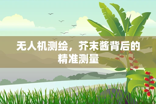 无人机测绘，芥末酱背后的精准测量