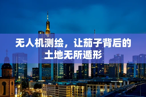 无人机测绘，让茄子背后的土地无所遁形