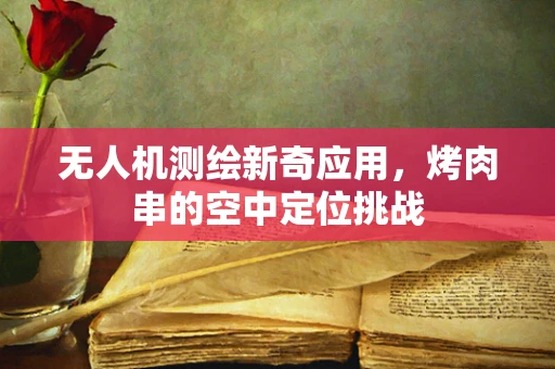 无人机测绘新奇应用，烤肉串的空中定位挑战