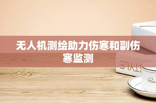 无人机测绘助力伤寒和副伤寒监测
