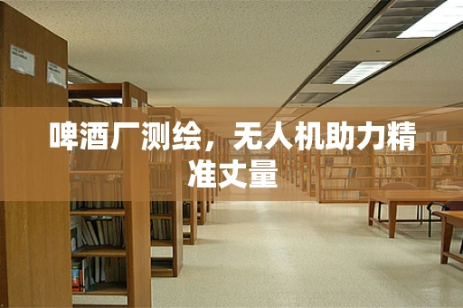 啤酒厂测绘，无人机助力精准丈量