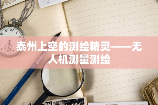 泰州上空的测绘精灵——无人机测量测绘