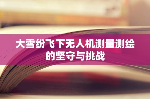 大雪纷飞下无人机测量测绘的坚守与挑战