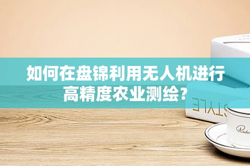 如何在盘锦利用无人机进行高精度农业测绘？