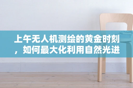 上午无人机测绘的黄金时刻，如何最大化利用自然光进行高精度测量？
