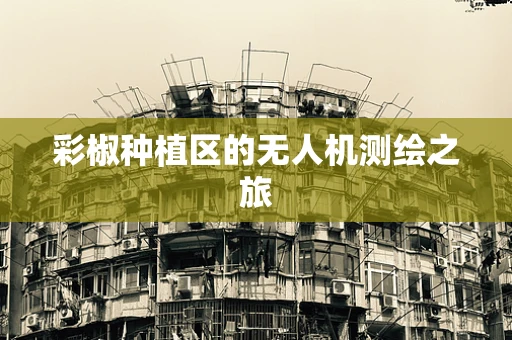 彩椒种植区的无人机测绘之旅