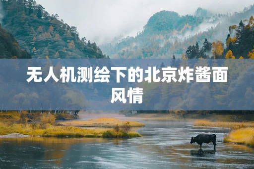 无人机测绘下的北京炸酱面风情