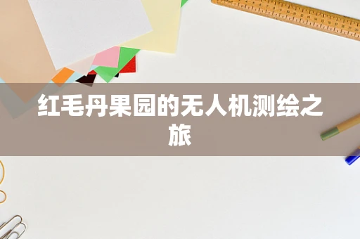 红毛丹果园的无人机测绘之旅