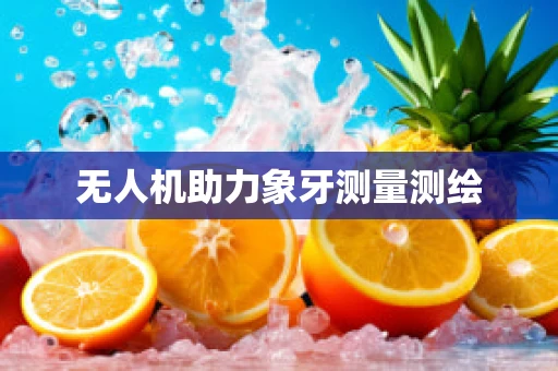 无人机助力象牙测量测绘
