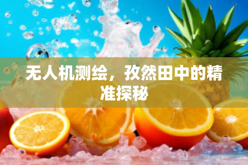 无人机测绘，孜然田中的精准探秘