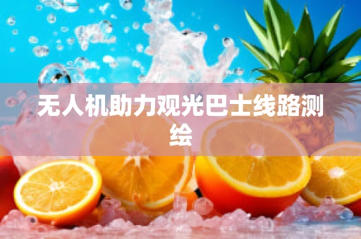 无人机助力观光巴士线路测绘